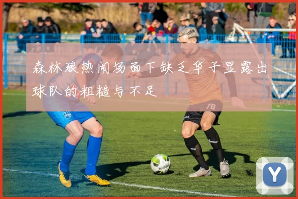 森林狼热闹场面下缺乏华子显露出球队的粗糙与不足